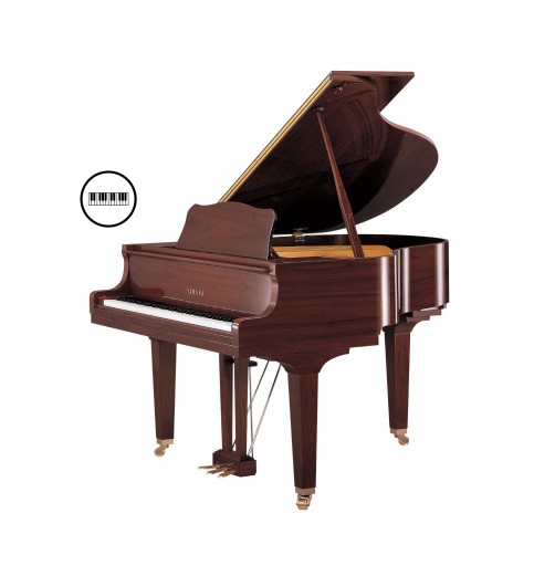 Yamaha GB1K Disklavier Enspire Yamaha GB1K Disklavier Enspire